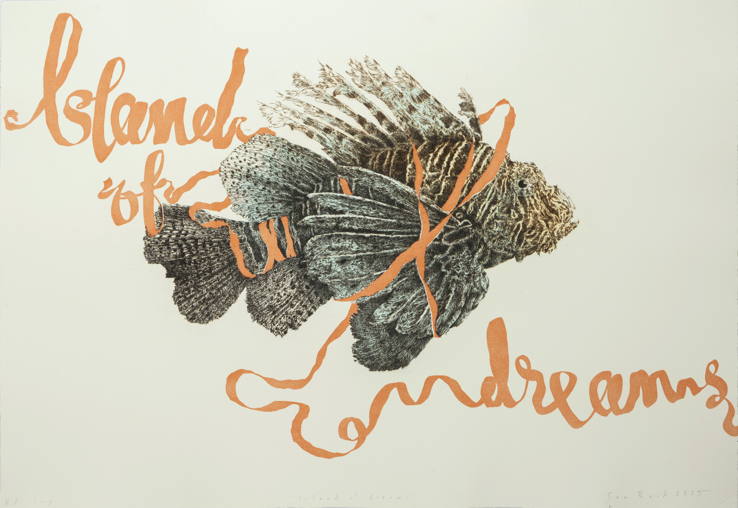 Ben Reid, Island of Dreams, 2025, Pinkwood, Works on Paper