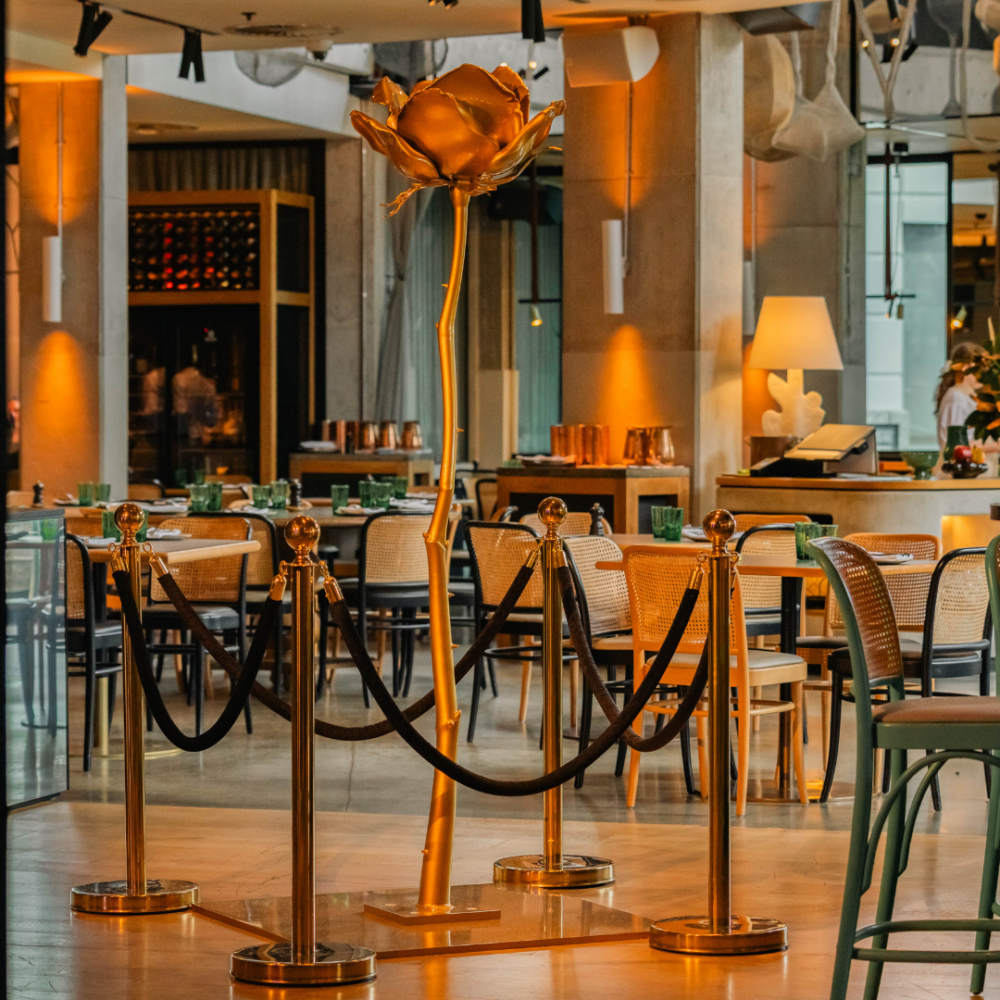 Hye Rim Lee Hye Rim Lee