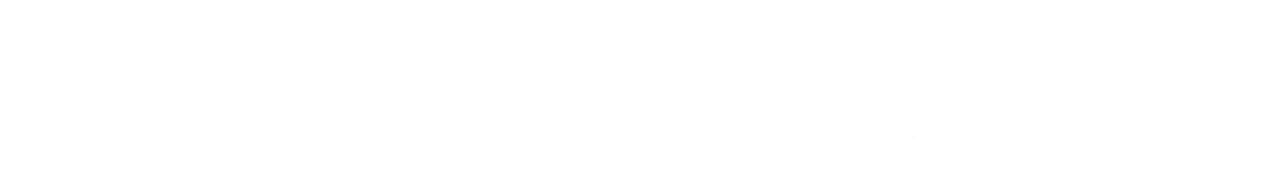 Aotearoa Art Fair